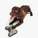 Barbour　Dog Toy Bone　犬用おもちゃ - Image 2