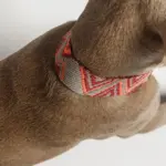 Buddys　Pikes リード Orange - Image 4