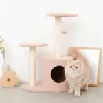 星とお月さまのキャットタワー - Image 4