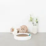 コロコロボール付サークル爪とぎ - Image 2