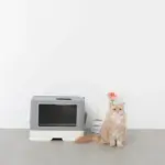 スコップ付スクエアキャットトイレ - Image 6