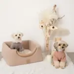 2wayペットハウス - Image 7