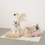 ファーフラワーペットベッドマット - Image 5