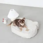 くまさんフェイスドッグベッド - Image 5