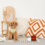 ジグザグフリンジクッション - Image 5