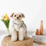 チューリップ柄ハーネス+リードSET【名入れ刺繍対応】【旧モデル】 - Image 4