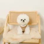 エコレザーボアMIXハーネス+リードSET【名入れ刺繍対応】【旧モデル】 - Image 2