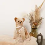 エコレザーボアMIXハーネス+リードSET【名入れ刺繍対応】【旧モデル】 - Image 10