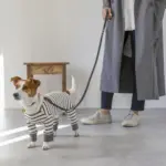 サークルチャームレザーカラー MEDIUM - Image 3