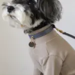 サークルチャームレザーカラー MEDIUM - Image 5